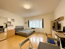 Prodej bytu 1+kk, Praha - Žižkov, Jičínská, 38 m2