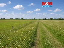 Prodej louky, Třemošná, 16129 m2