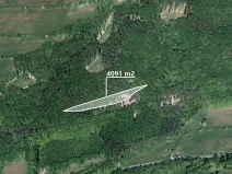 Prodej lesa, Bratřejov, 4091 m2