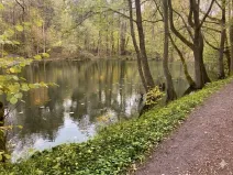 Pronájem rybníku, Votice, 2482 m2