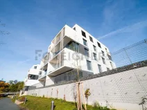 Pronájem bytu 3+kk, Olomouc, Ostrovní, 72 m2