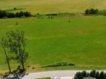 Prodej pozemku pro bydlení, Horní Stropnice, 8861 m2