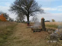 Prodej pozemku pro bydlení, Nížkovice, 996 m2