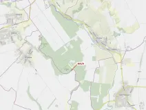 Dražba lesa, Přísnotice, 574 m2