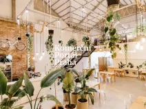 Pronájem restaurace, Praha - Nové Město, 350 m2