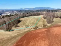 Prodej louky, Chotěvice, 24195 m2