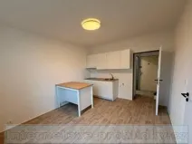 Pronájem bytu 1+1, Ústí nad Labem, Železná, 35 m2