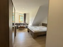 Prodej bytu 1+kk, Horní Lhota, 20 m2