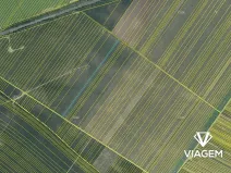 Prodej podílu pole, Moravská Nová Ves, 552 m2