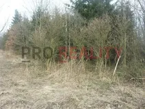 Prodej lesa, Tísek, 4998 m2