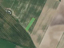 Prodej pole, Bezděkov, 7636 m2