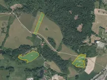 Prodej louky, Pačejov, 13638 m2