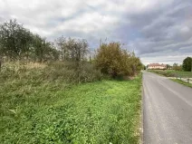 Dražba pozemku pro bydlení, Javorník, 1651 m2