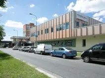 Pronájem obchodního prostoru, Praha - Troja, Lodžská, 220 m2