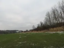 Dražba louky, Račice nad Trotinou, 18528 m2