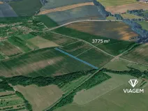 Prodej pole, Loukov, 3775 m2