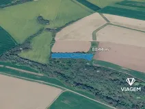 Prodej lesa, Bravantice, 8844 m2