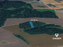 Prodej lesa, Hradiště, 2578 m2