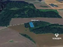 Prodej lesa, Hradiště, 3643 m2