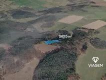 Prodej lesa, Řečice, 5650 m2