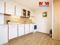 Prodej bytu 1+1, Ostrava - Hrabůvka, Dr. Martínka, 38 m2