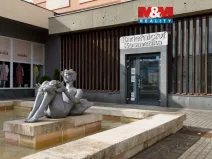 Prodej obchodního prostoru, Chomutov, Palackého, 159 m2