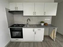 Pronájem bytu 1+1, Litvínov, Čapkova, 38 m2