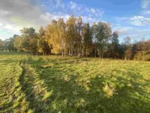 Prodej pole, Cvikov - Trávník, 7516 m2