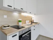 Pronájem bytu 1+kk, Slaný, Lázeňská, 33 m2