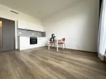 Pronájem bytu 1+kk, Praha - Hloubětín, Kolbenova, 30 m2