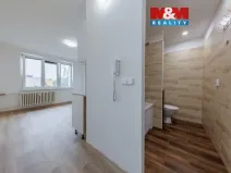 Prodej bytu 1+kk, Horní Slavkov, U Lesoparku, 19 m2