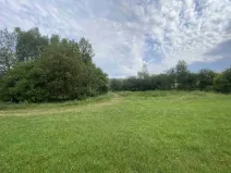 Dražba louky, Písečné, 4446 m2