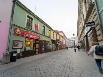 Prodej obchodního prostoru, Přerov, Wilsonova, 265 m2