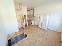 Pronájem bytu 1+kk, Praha - Žižkov, Vlkova, 28 m2