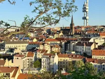 Prodej bytu 2+kk, Praha - Žižkov, Dalimilova, 50 m2