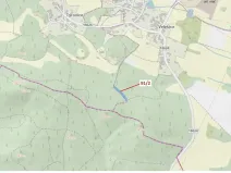 Dražba lesa, Pačejov, 1363 m2
