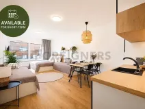 Pronájem bytu 1+kk, Brno, Cejl, 29 m2