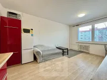 Pronájem bytu 1+1, Zlín, U Trojáku, 36 m2