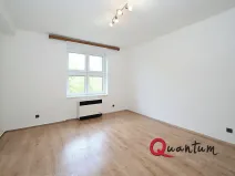 Pronájem bytu 1+1, Praha - Braník, Branická, 47 m2