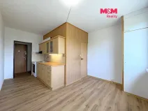 Pronájem bytu 2+1, Litoměřice - Předměstí, Družstevní, 53 m2
