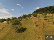 Prodej zahrady, Prakšice, 2596 m2