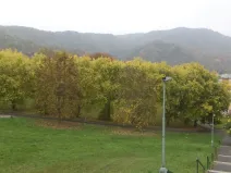 Prodej pozemku, Ústí nad Labem - Mojžíř, 450 m2