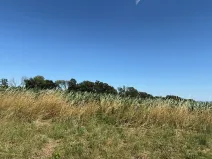 Prodej pole, Mohelnice nad Jizerou, 11600 m2