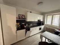 Pronájem bytu 1+1, Opava, Na Rybníčku, 38 m2