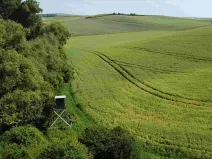 Dražba louky, Bučovice, 3134 m2