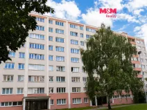 Pronájem bytu 1+kk, Pardubice - Polabiny, Mladých, 30 m2