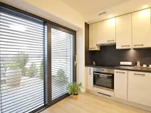 Pronájem bytu 1+kk, Brno, Zákoutí, 58 m2