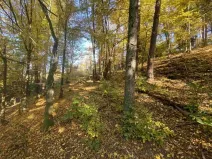 Dražba pozemku, Železný Brod, 2828 m2