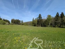 Prodej pozemku, Soběšice, 8869 m2