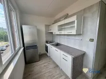 Pronájem bytu 2+1, Cheb, Lesní, 53 m2